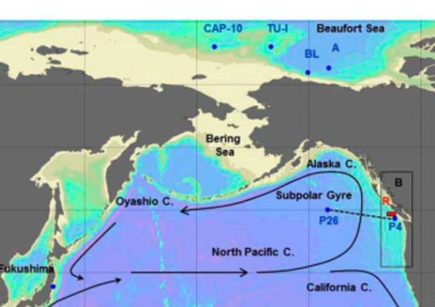 Innocua L Onda Radioattiva Di Fukushima Che Ha Raggiunto Il Nord