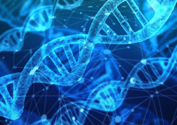 Risultati immagini per dna