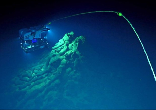 Les restes de l'éruption tirés du véhicule Noaa Deep Discoverer (source: Chadwick et al.) © Ansa