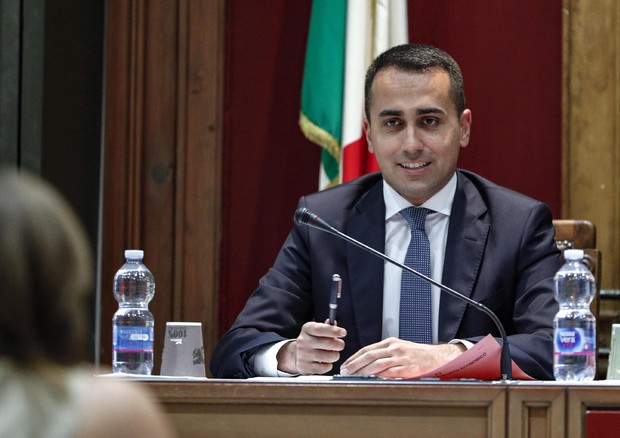   CETA: Di Maio, this majority will reject the agreement © ANSA 