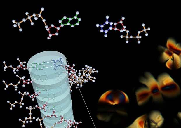   The "grammar" of life born before DNA (source: University of Milan) © ANSA 