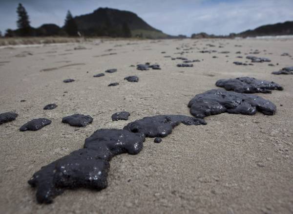 Nuova Zelanda: tonnellate petrolio in mare, è disastro