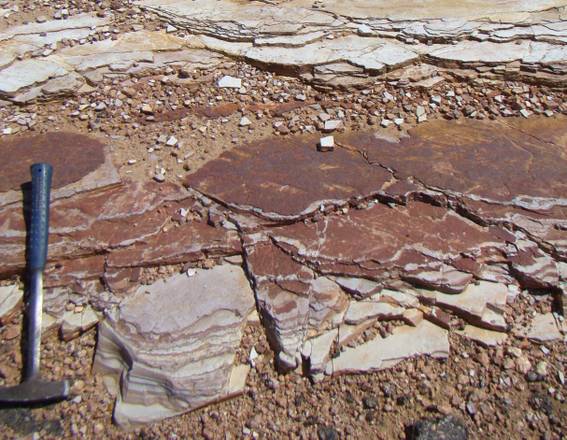 Il sito in cui sono state scoperte le tracce fossili dei primi animali comparsi sulla Terra (fonte: Ernesto Pecoits e Natalie Aubet)