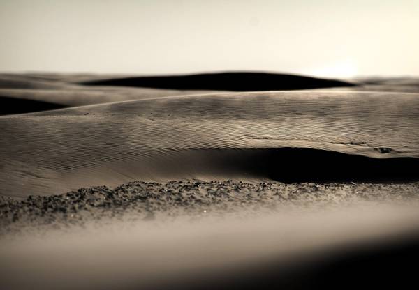 Dune di sabbia sulle spiagge dell'isola di Schiermonnikoog, nei Paesi Bassi