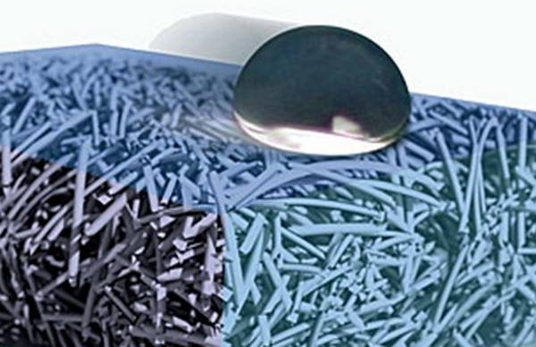 Esempio della nanostruttura di un materiale idrorepellente (fonte: The Aizenberg Biomineralization and Biomimetics Lab, Harvard University)