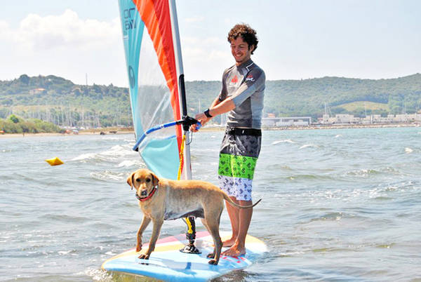 Al mare col proprio cane, anche al corso di wind-surf (Foto: Agriturismo.it)
