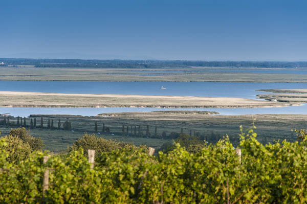 Lago di Neusiedll (Foto Austria Turismo)