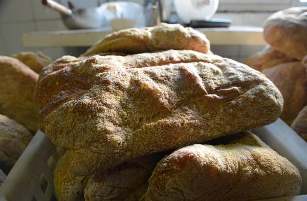 Il pane nella storia, a Pompei rivivono i gusti dimenticati