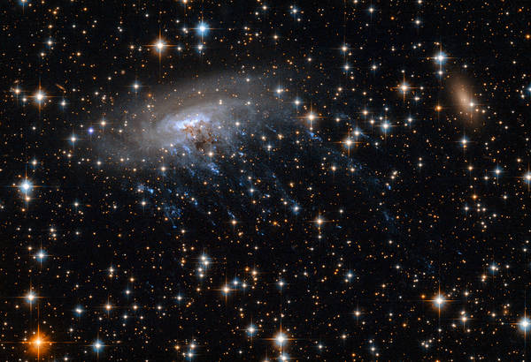 La galassia ferita Eso 137-001A ritratta dal telescopio Hubble (fonte: Nasa/Esa, Ming Sun -UAH- e Serge Meunier)