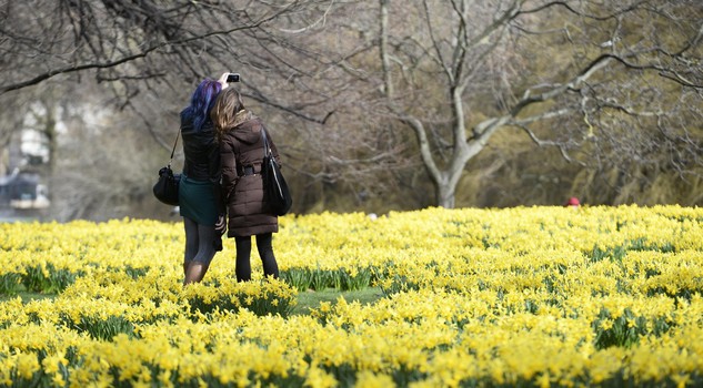 Primavera londinese a St. James Park