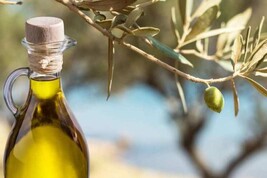 Slow Food, costi e clima incidono su olivicoltura