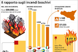 In Italia numero roghi in calo, ma sono più devastanti (ANSA)