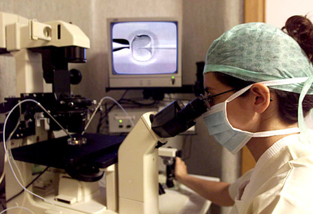 Una inseminazione in laboratorio (foto: ANSA)