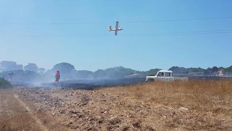 Incendi Canadair In Azione Nel Nuorese Sardegna Ansa It