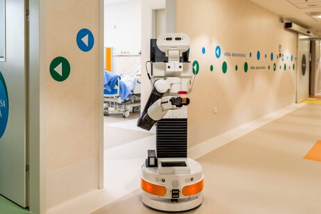 Un robot per l'assistenza (fonte: Luigi Avantaggiato 2020)