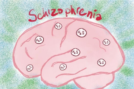 Rappresentazione grafica del rilascio nel cervello di idrogeno solforato, particolarmente elevata in chi soffre di schizofrenia (fonte: RIKEN)