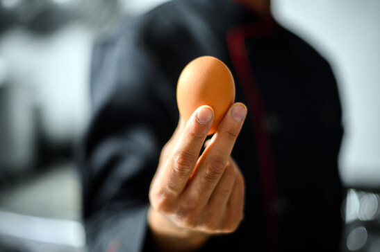 Uno studio scagiona le uova, non fanno aumentare il colesterolo