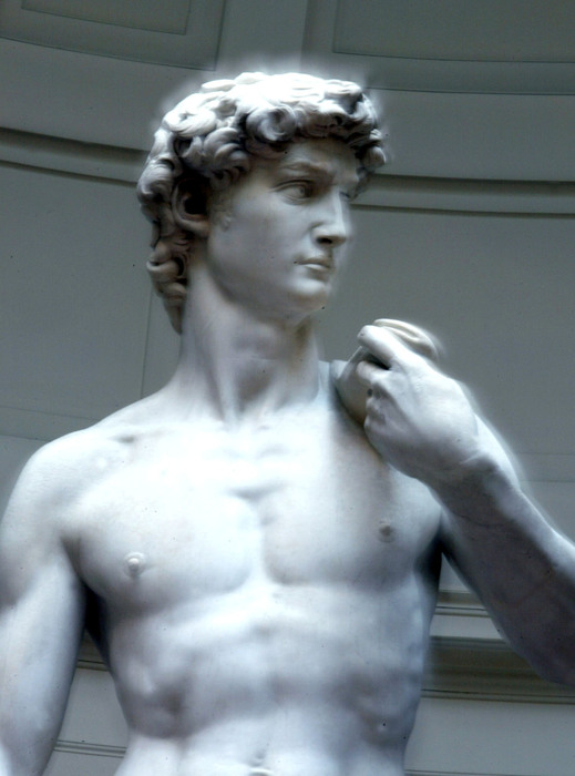 Michelangelo Preceded Medical Science In David English Ansa It