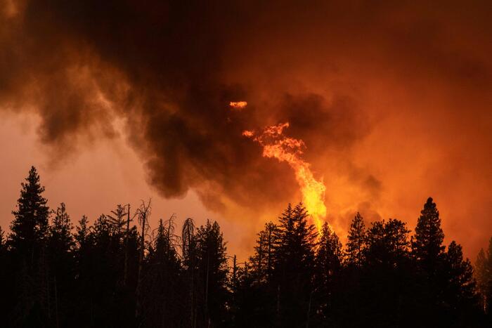 California In Fiamme L America Nella Morsa Del Caldo Record Notizie