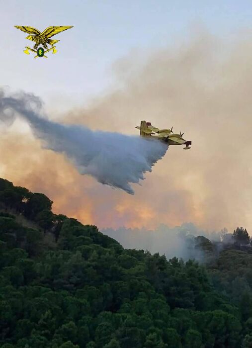 Incendi Dirigente Forestale Ieri Roghi In Sicilia Notizie Ansa It