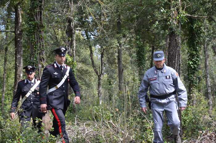 Discarica Abusiva Residui Di Marmo Scoperta A Sinnai Notizie Ansa It