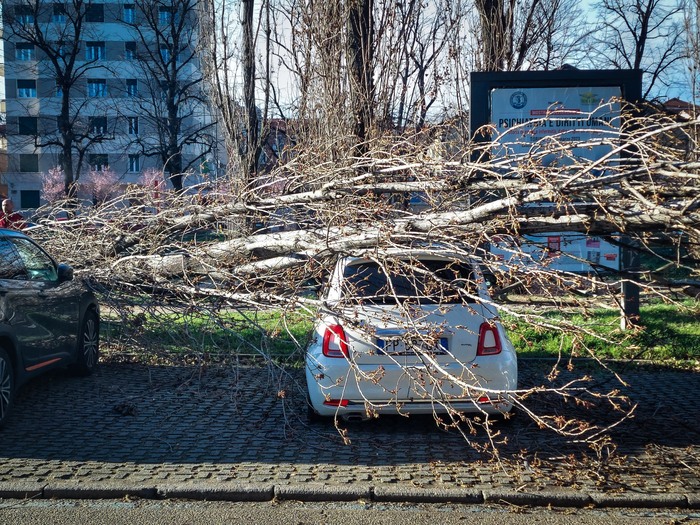 Vento Forte Nel Torinese Alberi Caduti E Incendi Notizie Ansa It