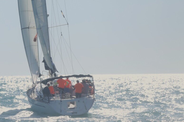 Regata Del Conero Equipaggio Anpis Vince Tra Vele Bianche Notizie