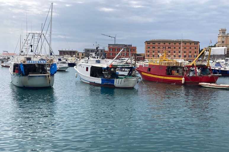 Pesca Protesta Pescherecci Strascico A Santa M L Contro Ue Notizie