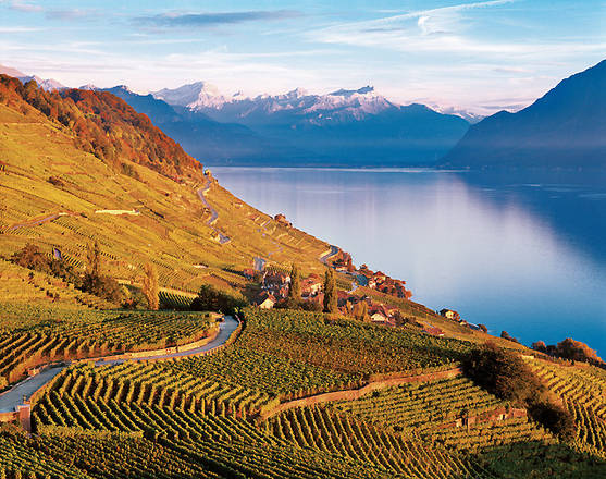 Risultati immagini per i vigneti di lavaux ginevra