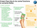 Al via il green pass Covid, da oggi vale in tutta Europa (ANSA)