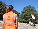 Un cane addestrato del Corpo Italiano di Soccorso dell'Ordine di Malta (ANSA)