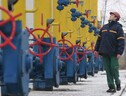 Al via il primo bando per le aziende che vogliono partecipare agli acquisti di gas (ANSA)