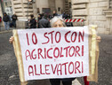 Nuova protesta degli agricoltori all'Eurocamera a Strasburgo (ANSA)