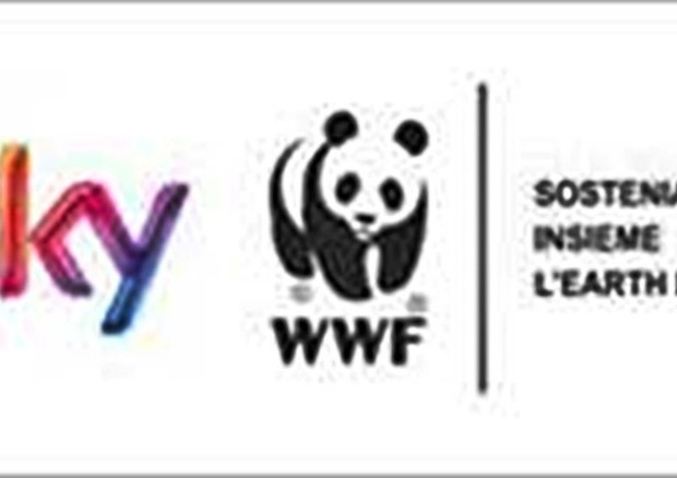 Earth Hour: la Roma in campo per campagna Wwf-Sky © Ansa