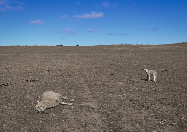 Siccità in Australia © EPA