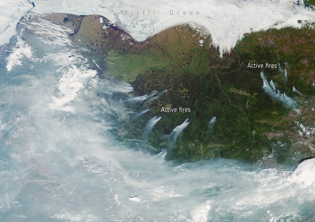 Gli incendi in Siberia fotografati dallo spazio (fonte: modified Copernicus Sentinel data (2020), processed by ESA) © Ansa