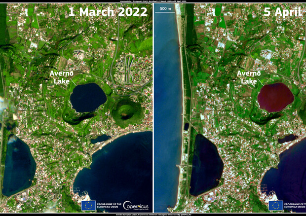 Il lago Averno fotografato dal satellite Sentinel 2 il primo marzo e il 5 aprile (fonte: European Union, Copernicus Sentinel-2 imagery) © Ansa