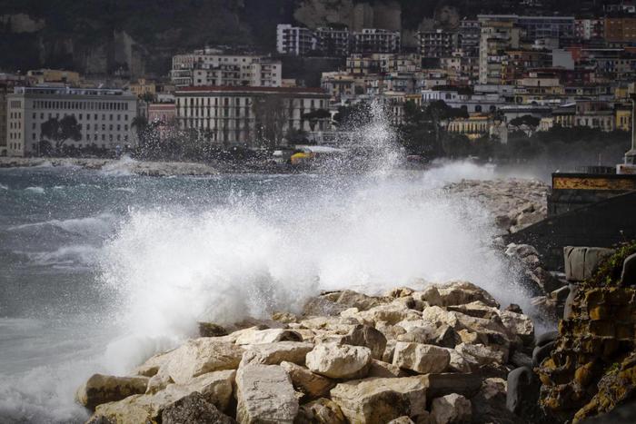 Coralli, l'oro rosso di Napoli: sono gli animali più vecchi al mondo -  Vesuvio Live