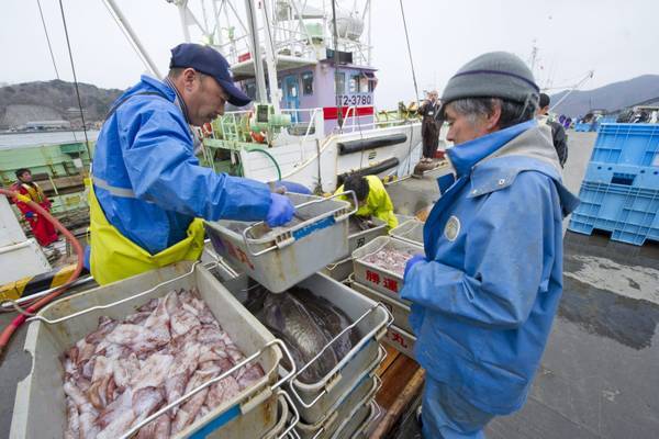 Giappone: governo mette al bando una varieta' di pesce, superati i limiti i radioattività