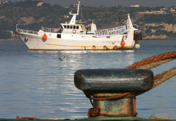 PESCA: e' guerra tra Pozzuoli ed Ischia per i polipi