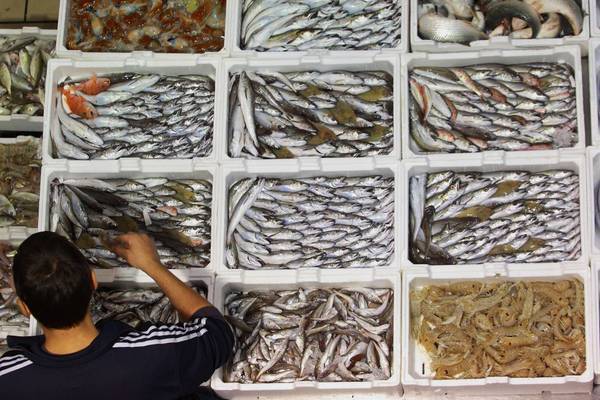 Protesta pescatori:sit in a Montecitorio,'cosi'ci affondate'