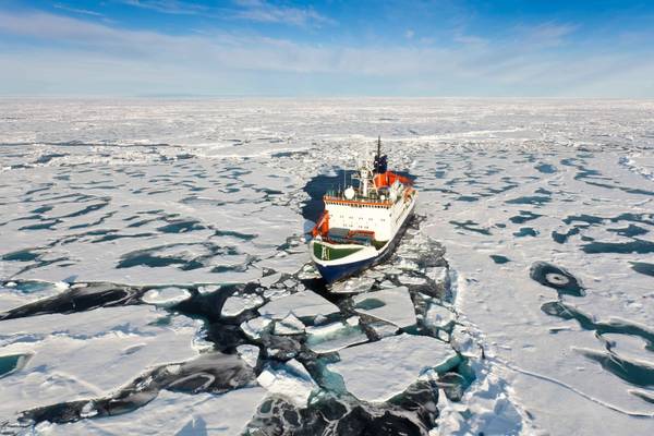 Trivellazioni: a rischio 'santuario' artico