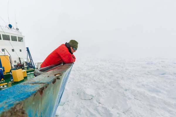 Antartide: tutti in salvo i 52 passeggeri Akademik