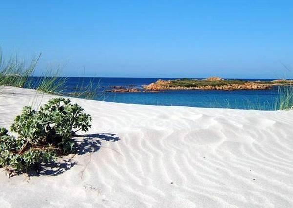 I Colori E I Profumi Di Capo Comino Italia In Viaggio Ansa It