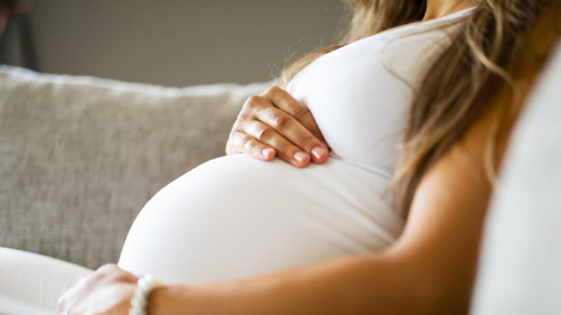Sanità: Molise, per future mamme ecco l'Agenda di gravidanza
