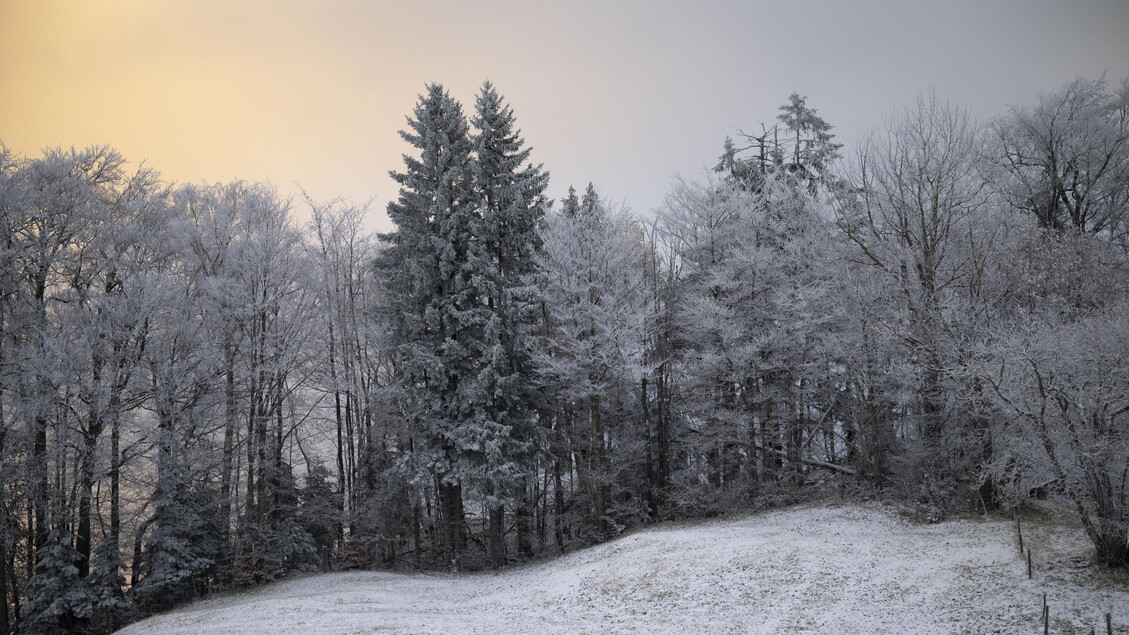 St. Margrethenberg Svizzera