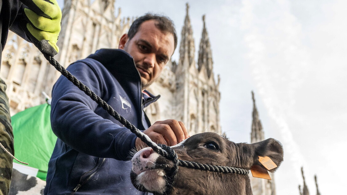 - RIPRODUZIONE RISERVATA