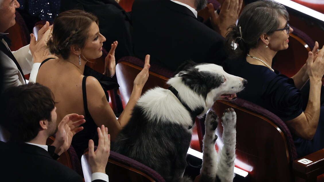 Il cane Messi © ANSA/EPA