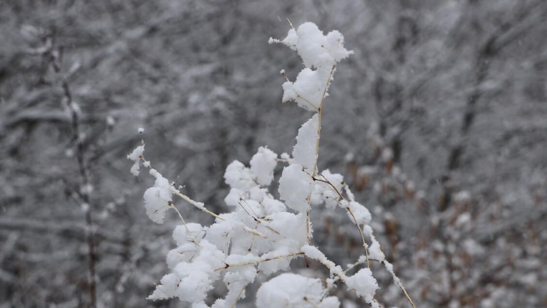 Nevica sull 'Appennino umbro-marchigiano - RIPRODUZIONE RISERVATA