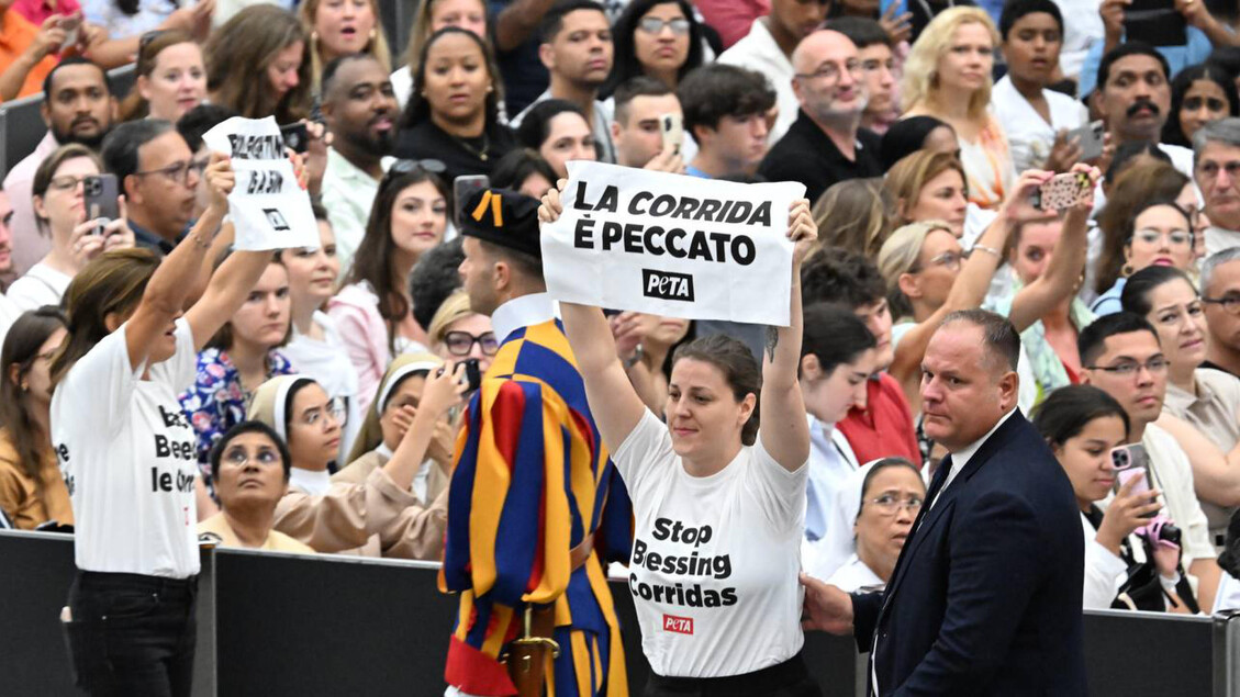 Proteste contro la corrida, brevemente interrotta l'udienza del Papa